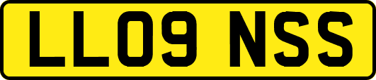 LL09NSS