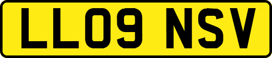 LL09NSV