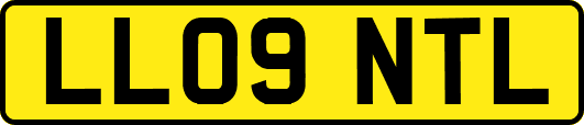 LL09NTL