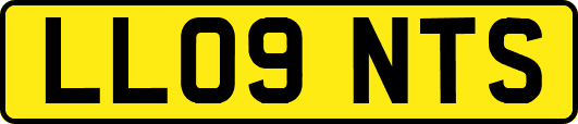 LL09NTS