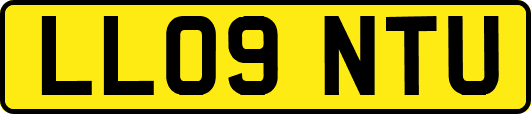 LL09NTU