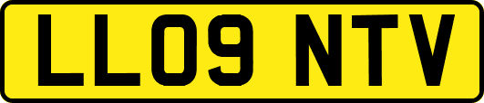 LL09NTV
