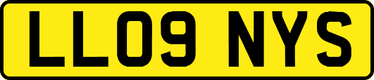 LL09NYS
