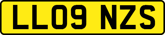 LL09NZS