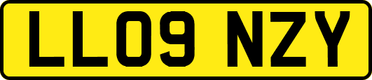 LL09NZY
