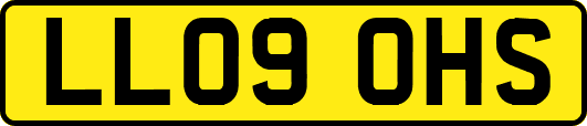 LL09OHS
