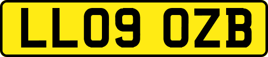 LL09OZB