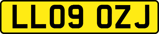 LL09OZJ