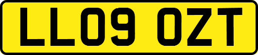 LL09OZT