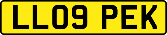 LL09PEK