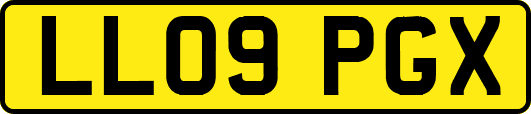LL09PGX