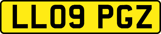 LL09PGZ