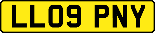 LL09PNY