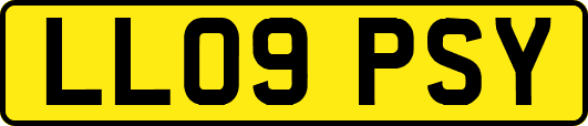 LL09PSY