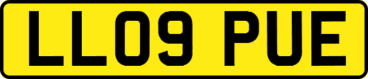 LL09PUE