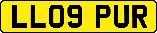 LL09PUR