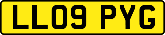 LL09PYG