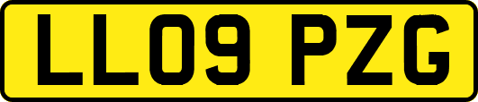 LL09PZG
