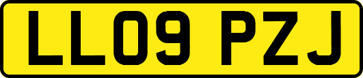 LL09PZJ
