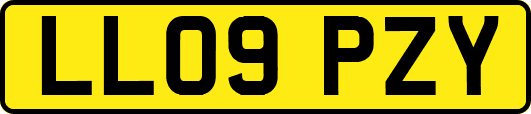 LL09PZY