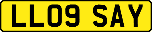 LL09SAY