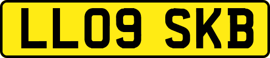 LL09SKB