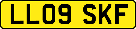 LL09SKF