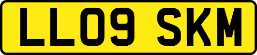 LL09SKM