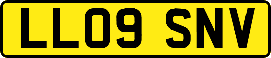 LL09SNV