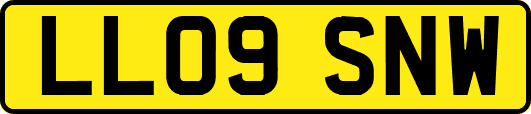 LL09SNW