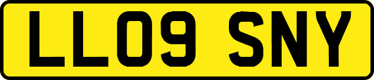 LL09SNY