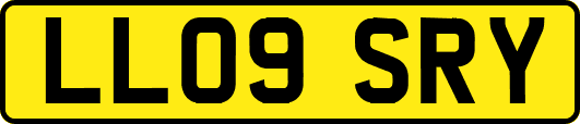 LL09SRY