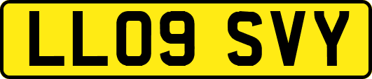 LL09SVY
