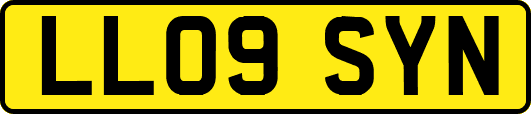 LL09SYN