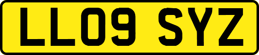 LL09SYZ
