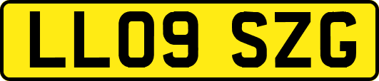 LL09SZG