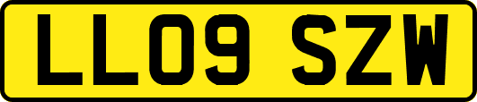LL09SZW