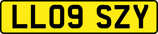 LL09SZY