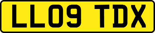 LL09TDX
