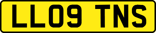 LL09TNS