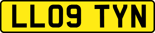 LL09TYN
