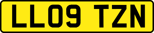 LL09TZN
