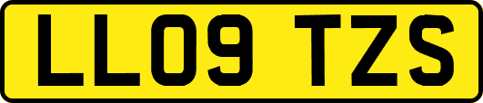 LL09TZS
