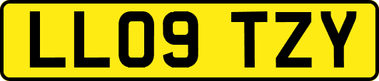 LL09TZY