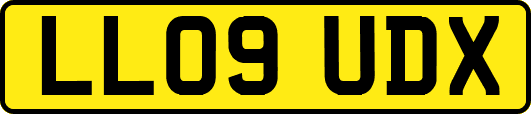 LL09UDX