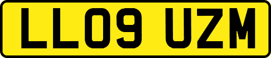LL09UZM