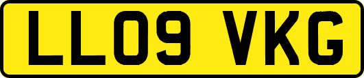 LL09VKG