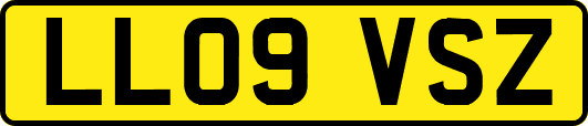 LL09VSZ