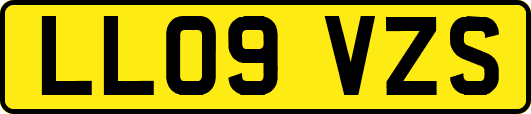 LL09VZS