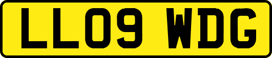 LL09WDG